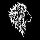 L'avatar di LION Tech